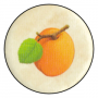 Meruňka (Ovocné stromy)