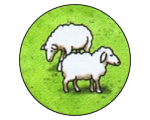 Ovce (Carcassonne 1) Screenshot